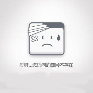 痞子双雄